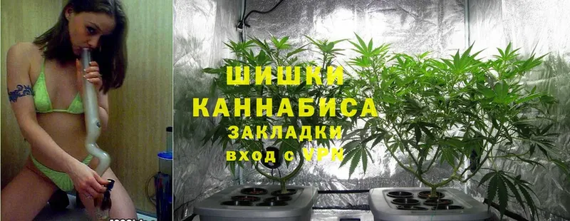 Шишки марихуана SATIVA & INDICA  Змеиногорск 